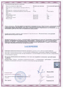 Экспертное заключение 2